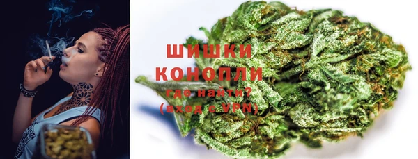 spice Коряжма